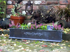 Crested Window Box