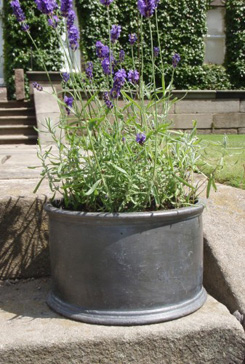 Small Round Classic Planter