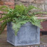 Medium Planters