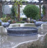 Birdbaths