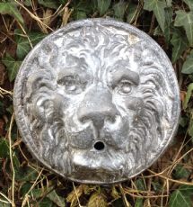 Small Lion Head