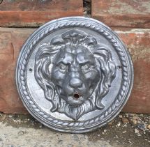 Lion Mask On Disc