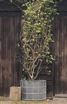 Half Round Ribbed Planter