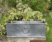 Yorkshire Rose Window Box