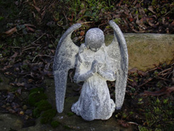 French Angel