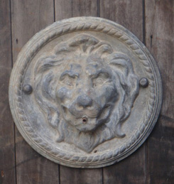Lion Mask On Disc