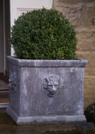 Large Square Lion Planter