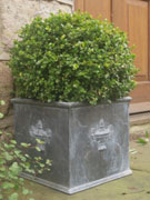 Square Urn Planter