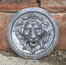 Lion Mask On Disc
