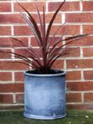 Round Plain Planter