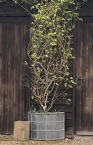 Half Round Ribbed Planter