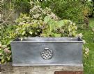 Yorkshire Rose Window Box