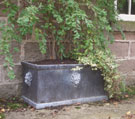 Lion Window Box