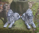 Pair Of Lions