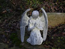 French Angel