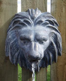 Lion Mask