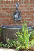 Dolphin Fountain with Ripley Cistern