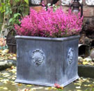 Square Shell Planter