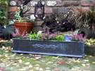 Crested Window Box